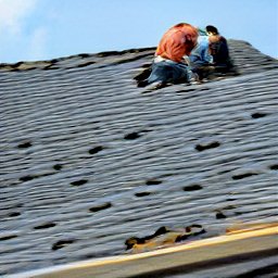 roofing repair	